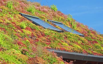Apley Forge living roof systems