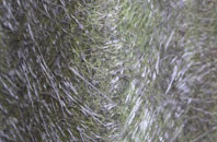 Apley Forge fibreglass roof work